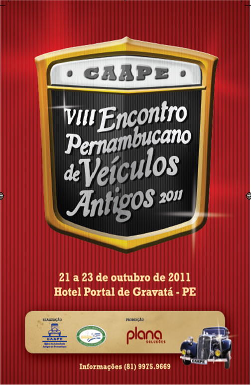 VIII EPVA